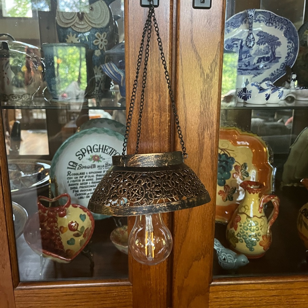 LED Hanging Light